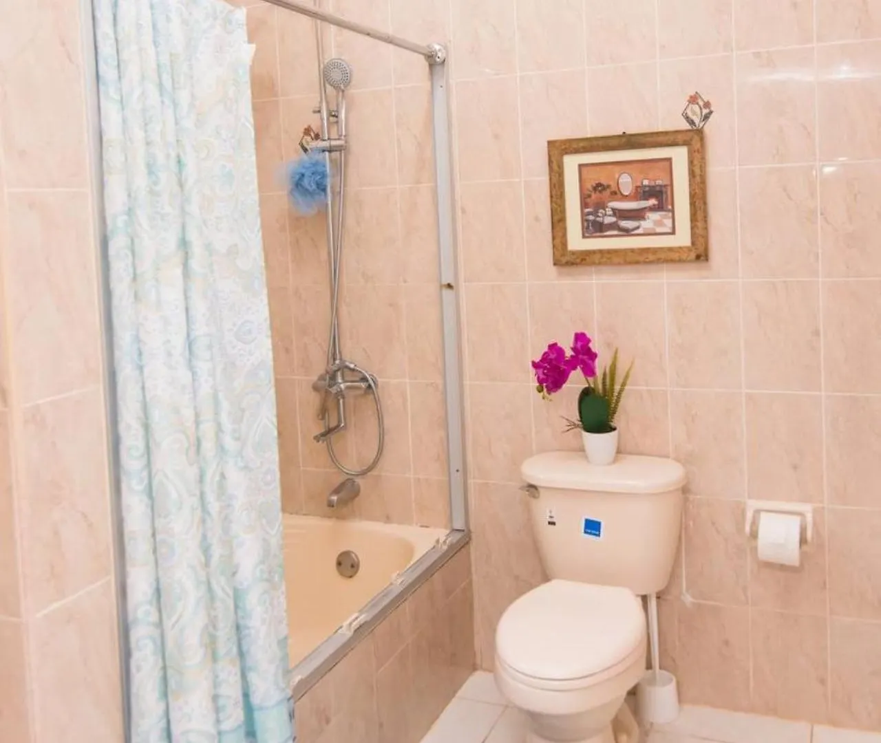 ベッド・アンド・ブレックファスト Suzette Guesthouse Accommodations Saint Maryʼs